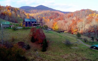 #4 – Pocahontas County Sheep Farm: Daniel Daley