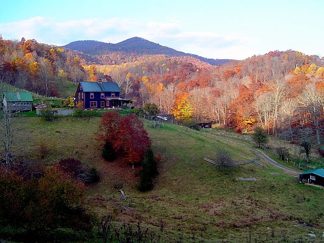 #4 – Pocahontas County Sheep Farm: Daniel Daley