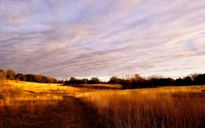 #8 – High Hope Ranch: Brandi Graves & Robert Young